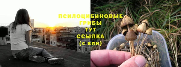 гашиш Болхов