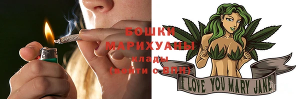 твердый Няндома