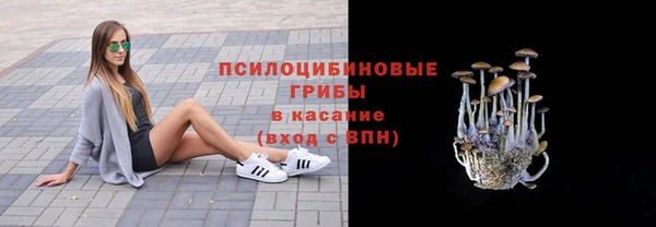 соль курить ск Нязепетровск