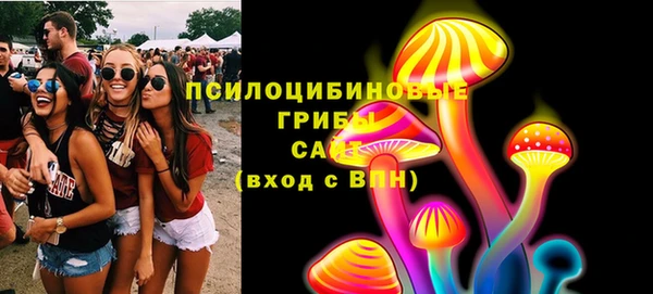соль курить ск Нязепетровск