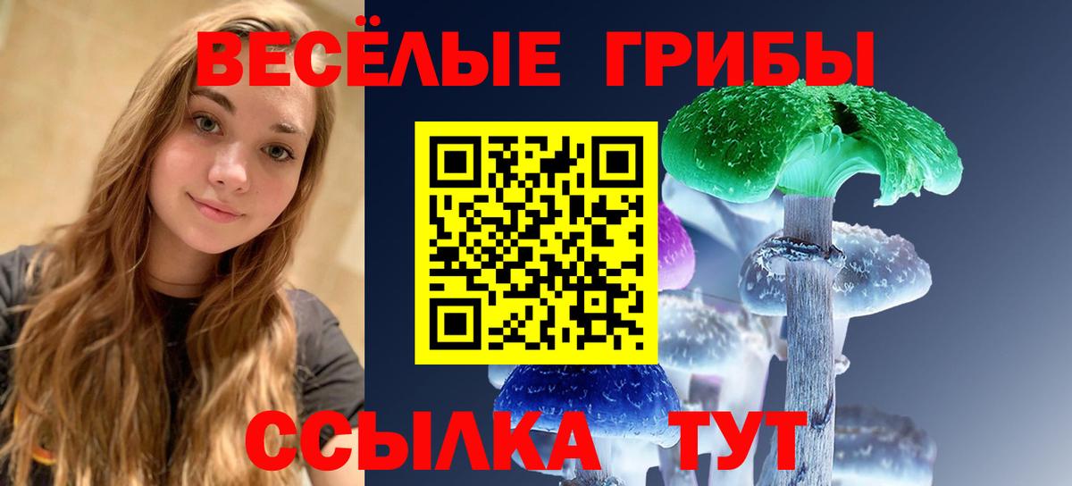 Галлюциногенные грибы MAGIC MUSHROOMS  Галлюциногенные грибы Psilocybe  Кувандык 