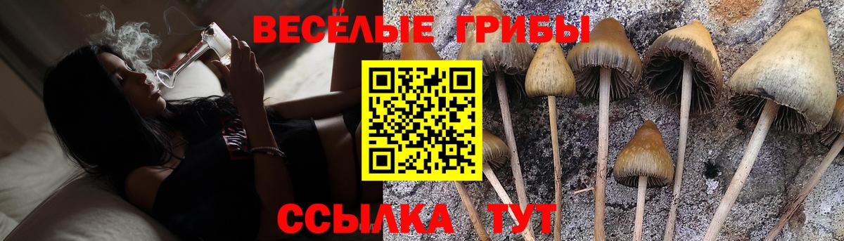 Кувандык  купить закладку  Вход с VPN  Галлюциногенные грибы мицелий 