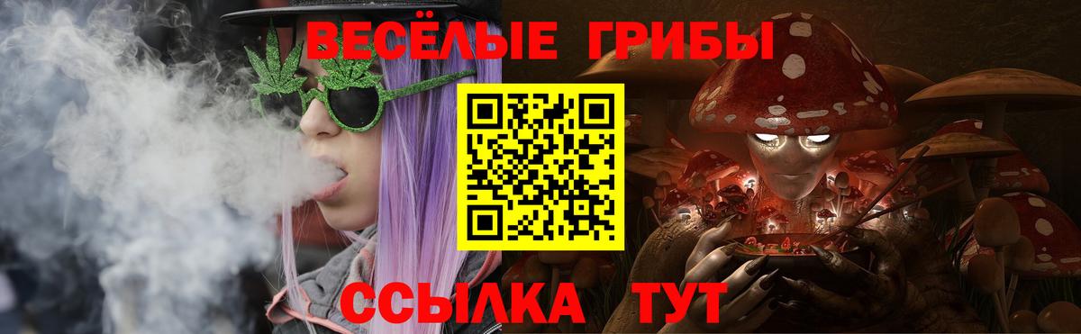 Круглые  Вход с VPN  Бошки Шишки  Бошки Шишки  Кувандык  Где продают наркотики?  Мефедрон  ГАШ 