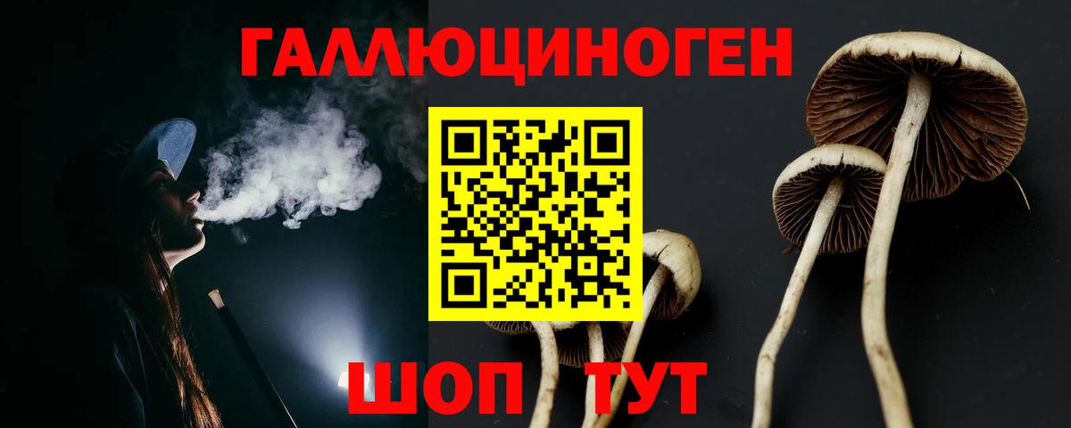 Галлюциногенные грибы Psilocybe Кувандык