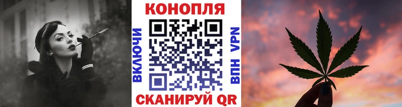 Каннабис OG Kush  Кувандык 